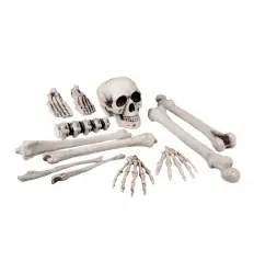 Set huesos 12 pc