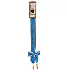 Banda rainha da beleza com escudo