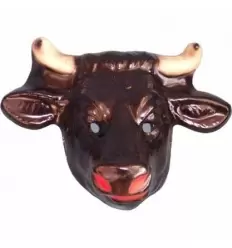 PlÁstico protetor toro