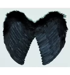 Wing preto penas angel