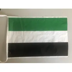 Bandeirola de plástico da Estremadura dupla face