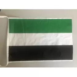 Pack 2 Bandera de plastico extremadura