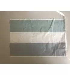 Bandera de plastico extremadura 2