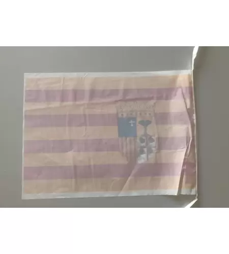 Bandera de plastico de aragon
