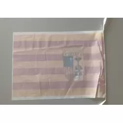 Bandera de plastico de aragon