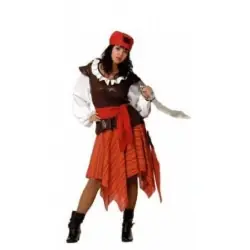 Pirate ladies costume