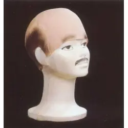 CrÂne chauve avec cheveux peints