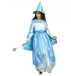 Disfraz hada madrina adulto
