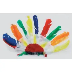 Feather war bonnet