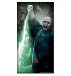 CUBIERTA PARA PUERTA HARRY POTTER