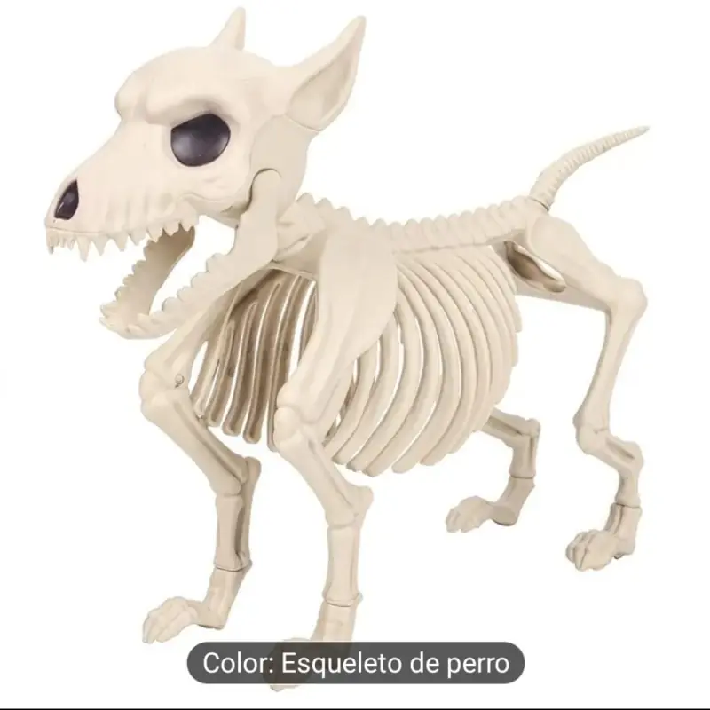 Esqueleto de cão 23x31 cm
