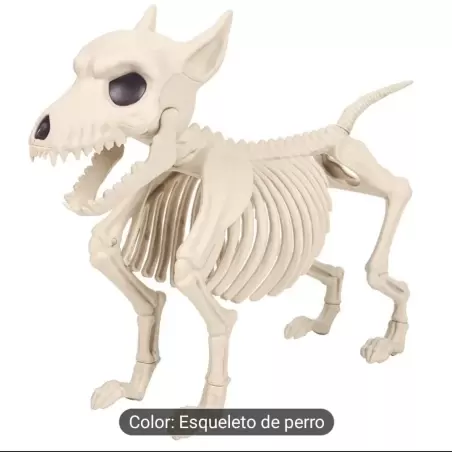 ESQUELETO PERRO 23X31 CM