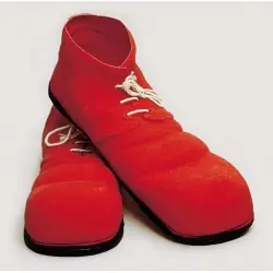Paire de chaussures clown adulte