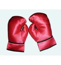 Boxer par luvas