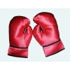 Boxer gloves