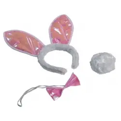 Set de coelhinha