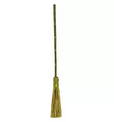 Witch"s broom