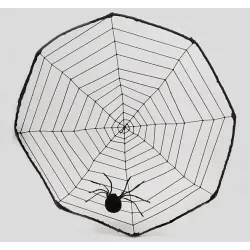 Spidernet with spider