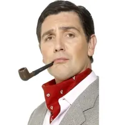 PIPA INVESTIGADOR 2