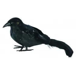 CUERVO DE PLUMAS