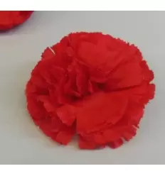 CLAVEL GRANDE CLIP 2