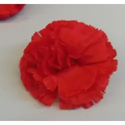 CLAVEL GRANDE CLIP