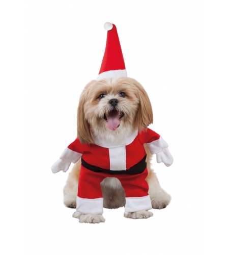 Puntuación kiwi Cúal Santa claus costume for dogs - Your Online Costume Store