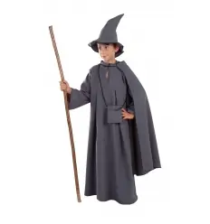 DISFRAZ MAGO GRIS INFANTIL