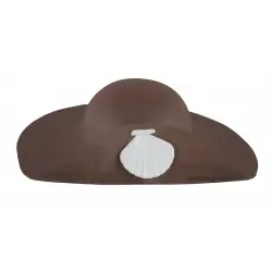 Sombrero de peregrino