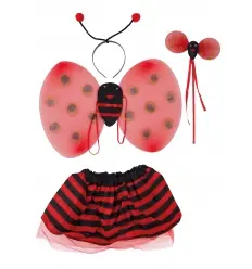 Conjunto de joaninha