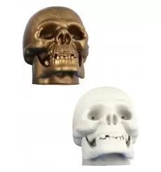 Calavera huesos luz y sonido.