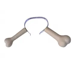 Diadema hueso