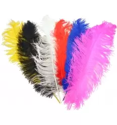 Pluma de pavo grande 40-50 cm