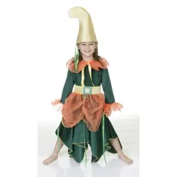 Wald elfe kinderkost