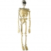 Squelette tÊte de mort fluorescente