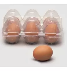 Fake eggs