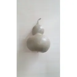 CALABAZA PEREGRINO